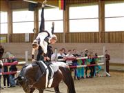 voltitag 2009 _CD1 137